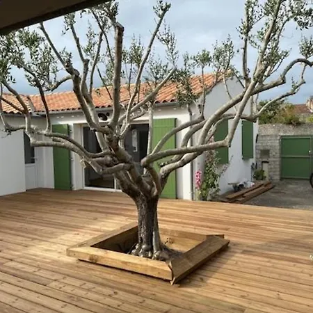 House With Terrace Near The Sea